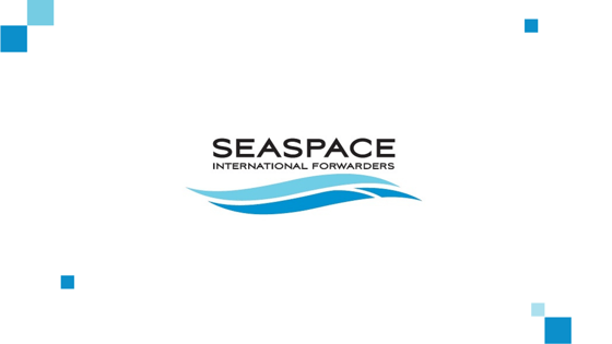 Success Story_Seaspace